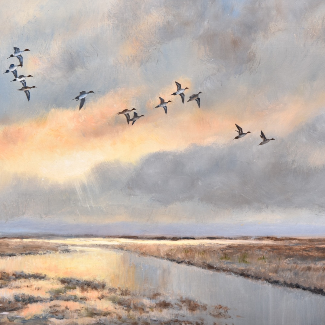 Sporting & Wildlife Auction